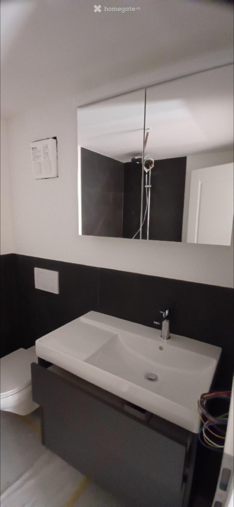 Modern bathroom with a white sink, chrome faucet, large mirror, and black tiled lower half of walls.