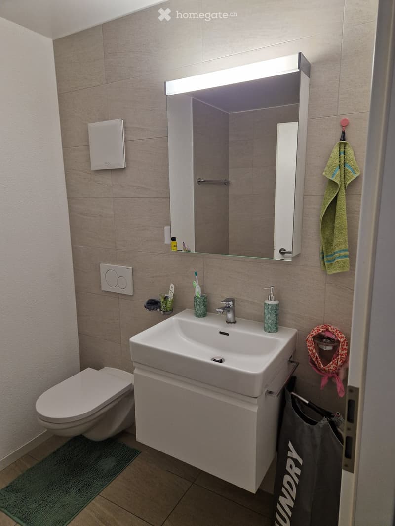 Modern bathroom with a white sink, toilet, mirror cabinet, and various toiletries. Beige tiled walls and wooden flooring.