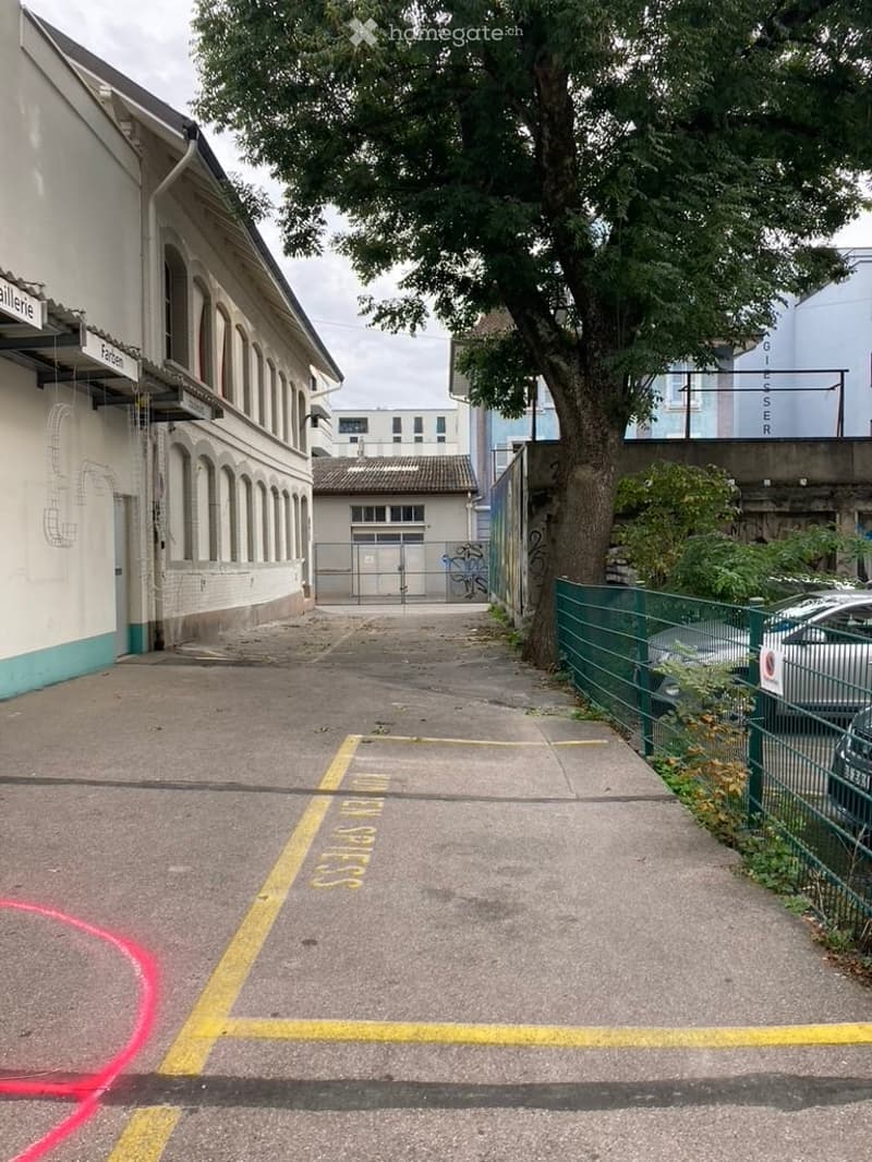 asphalt street, green metal fence, two cars parked, red and yellow markings, trees and plants