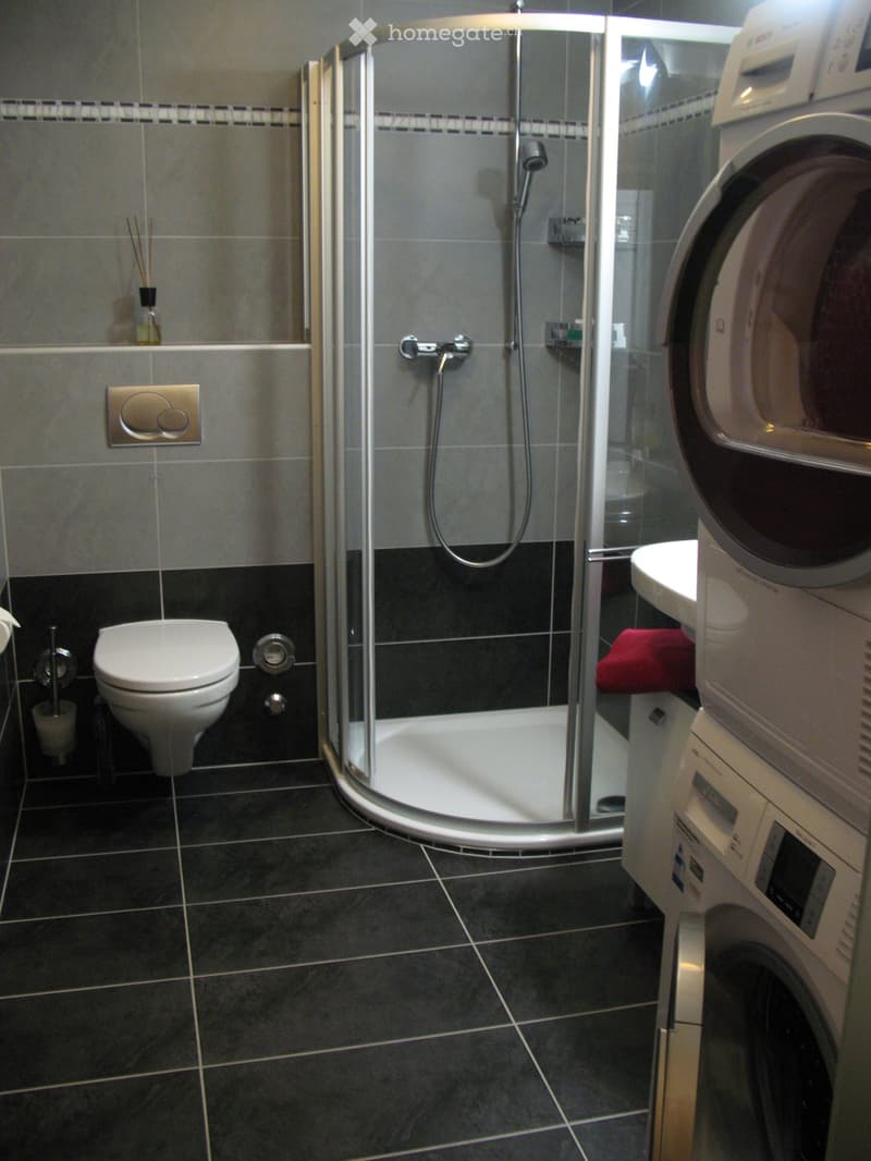 Modern bathroom with a walk-in shower, toilet, sink, and a washing machine