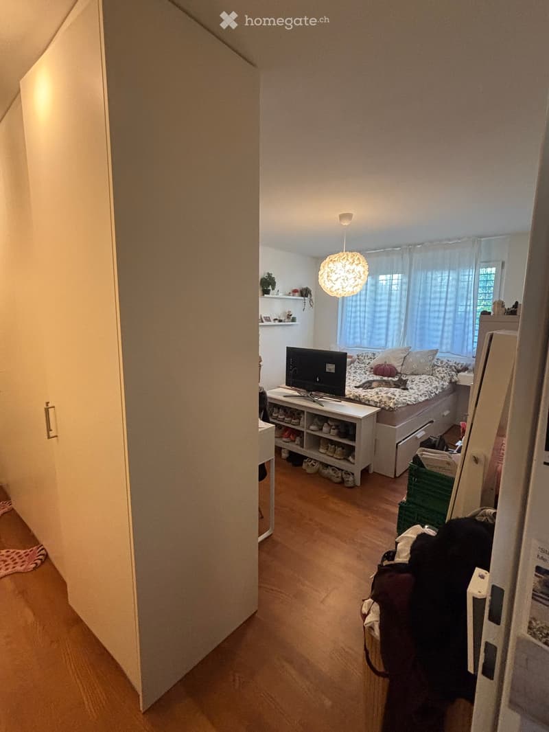 Cozy bedroom with wooden flooring, a bed with pillows and a blanket, a television on a stand, a shoe rack, a small shelf with a potted plant, and a cat resting on the bed.