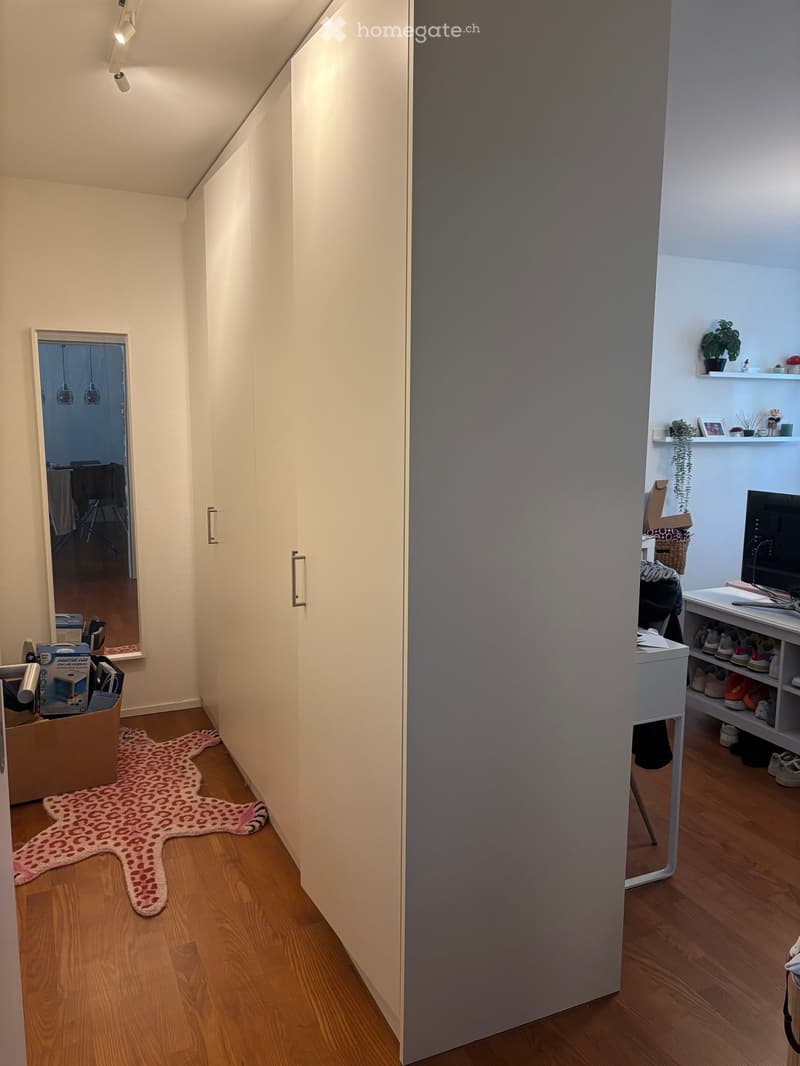 A narrow hallway with wooden flooring, white walls, and a large mirrored closet door. A pink leopard-print rug lies on the floor, and a small shelf with shoes and a TV is visible to the right.