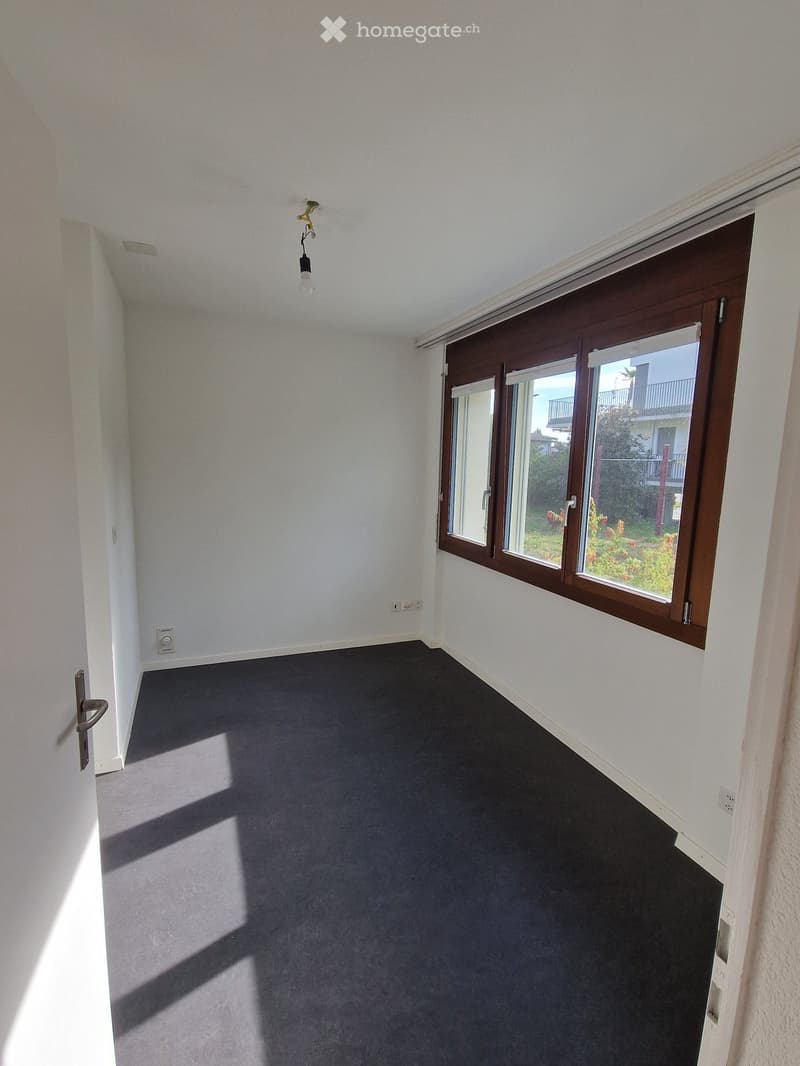 Empty room with grey carpet, white walls, and a large window with wooden frame. Natural light streams in, casting shadows on the floor.