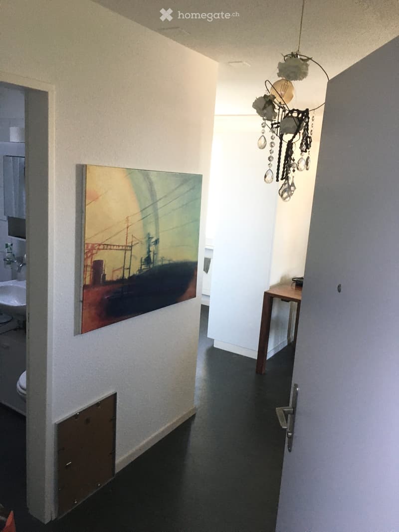 A narrow hallway with a dark floor, white walls, and a chandelier hanging from the ceiling. A painting is displayed on one wall, and a small table is visible at the end of the hallway.