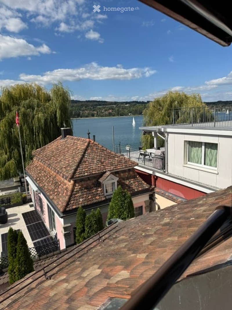 View from a rooftop showing a traditional house with a tiled roof, a modern building with a balcony, and a scenic lake view with a sailboat in the distance.