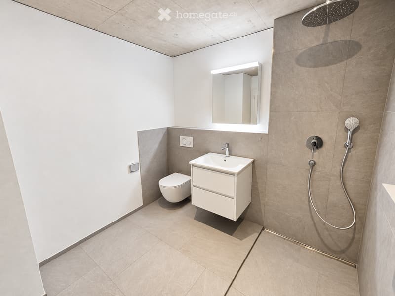 Modern bathroom with a white sink, toilet, mirror, and a shower area with a handheld showerhead.