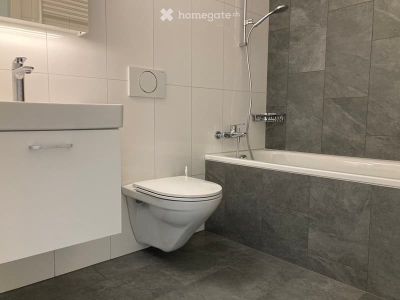 modern bathroom, white sink, gray tiles, silver faucet, white toilet, showerhead