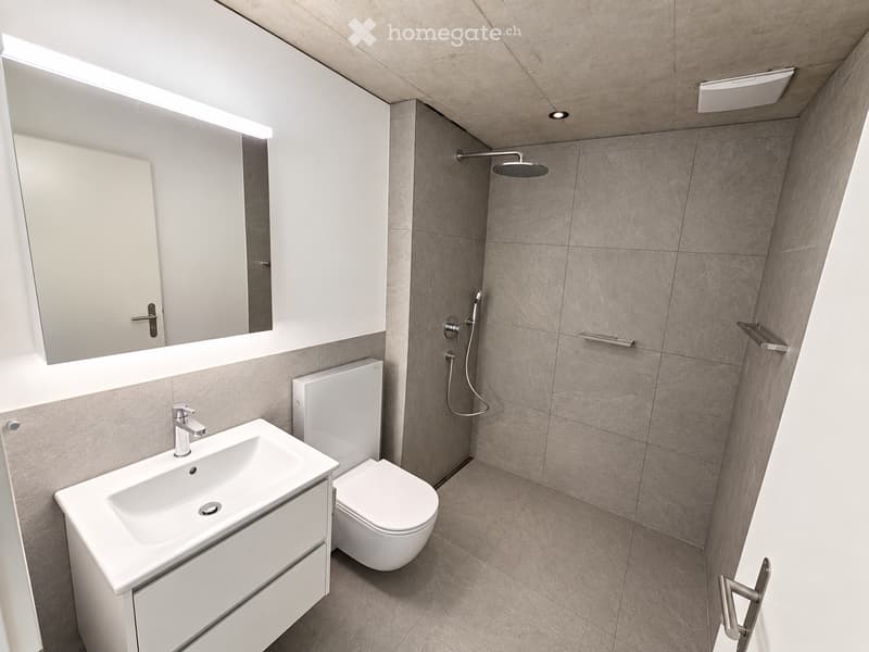 Modern bathroom with a white sink, toilet, large mirror, and a separate shower area with a handheld showerhead.