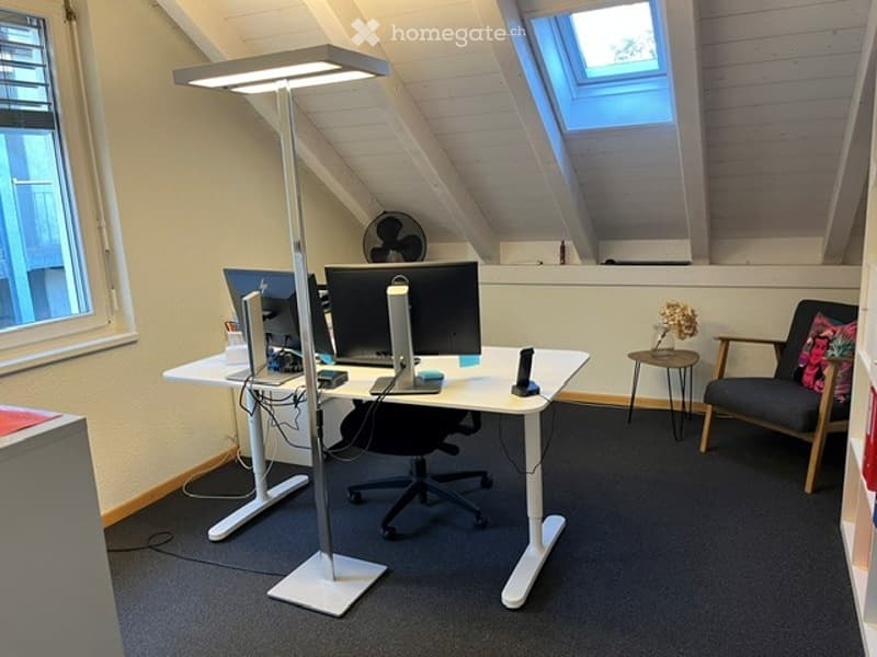 Modern office space with a standing desk, ergonomic chair, dual monitors, a standing lamp, and a small side table with a decorative plant.