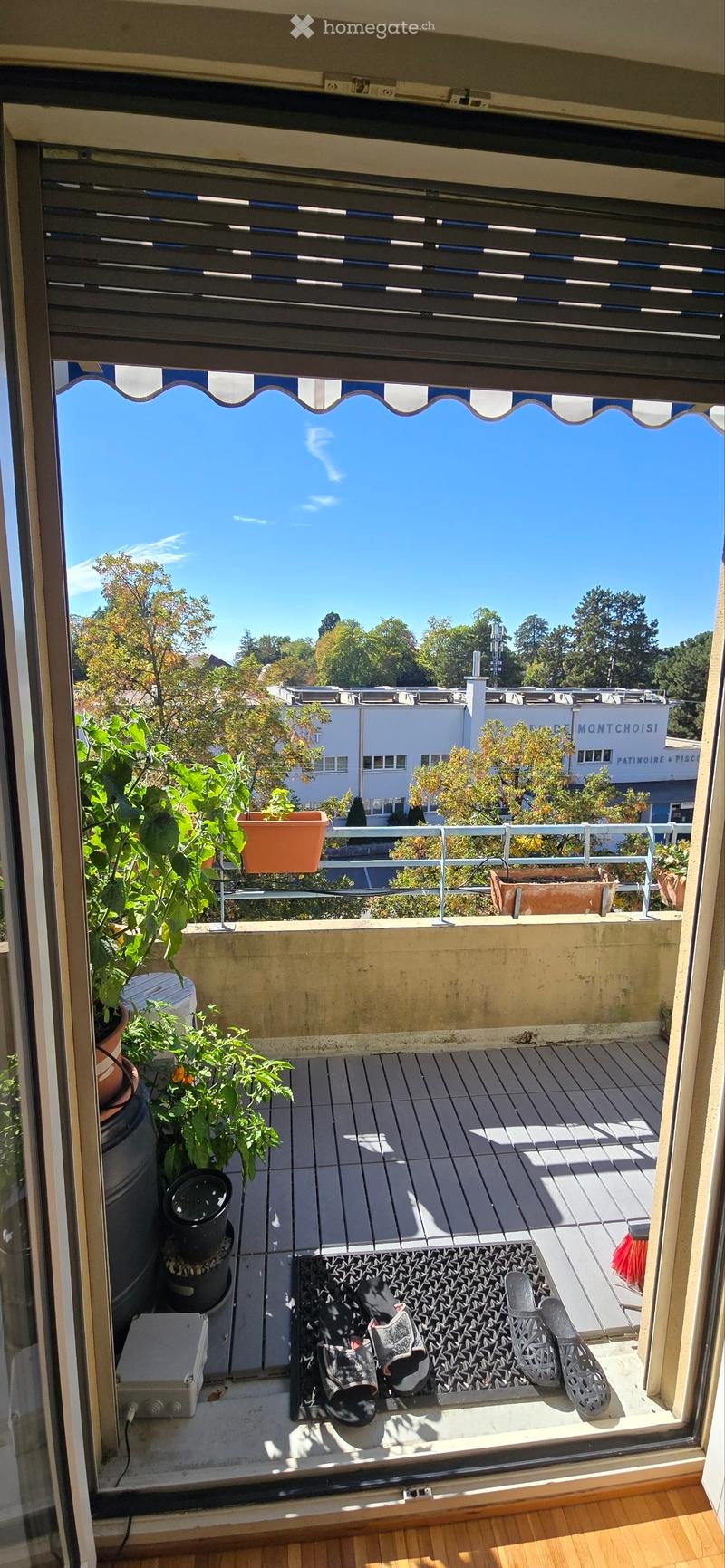 Balcony with wooden decking, potted plants, a rug with shoes, and a view of the city and trees.