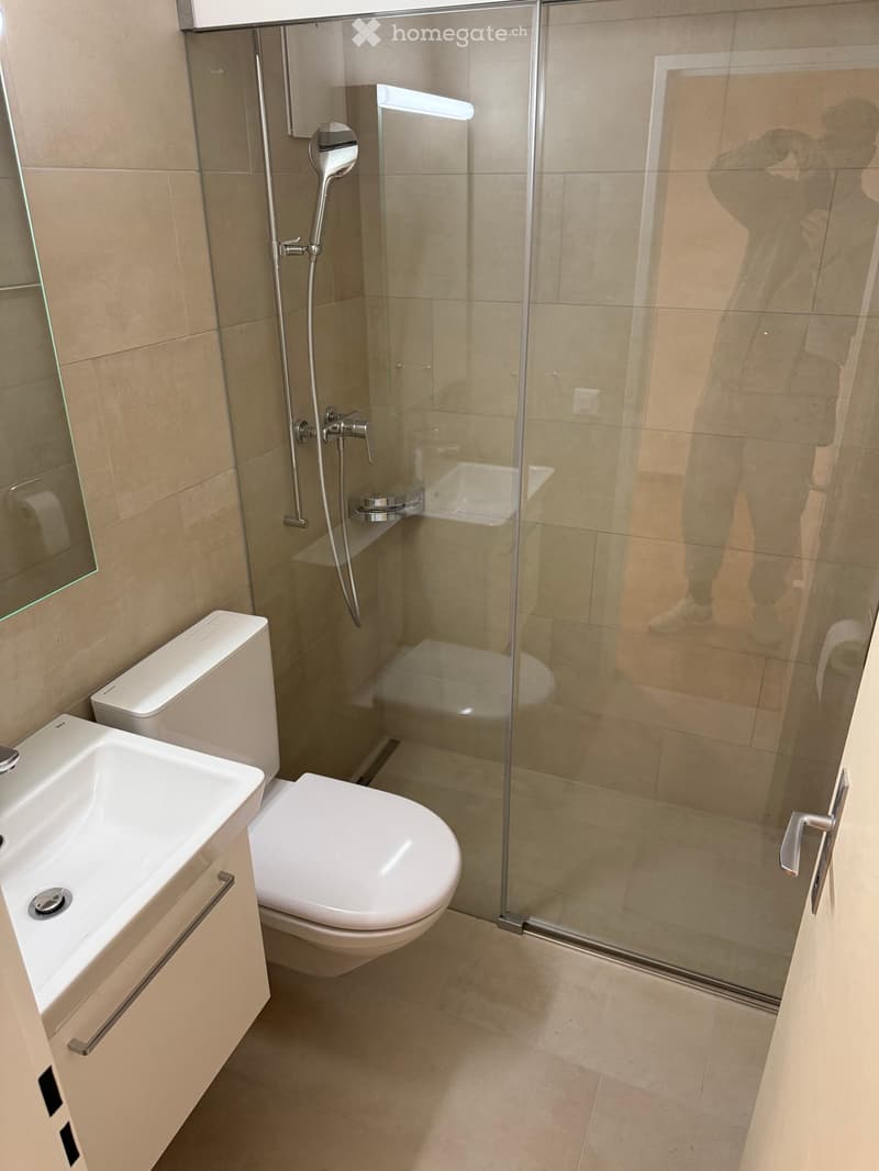 Modern bathroom with a white toilet, sink, and glass-enclosed shower with a handheld showerhead.