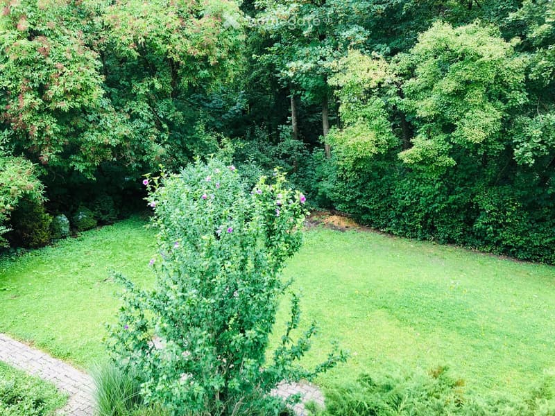 A well-maintained garden with a lush green lawn, flowering shrubs, and tall trees providing shade.