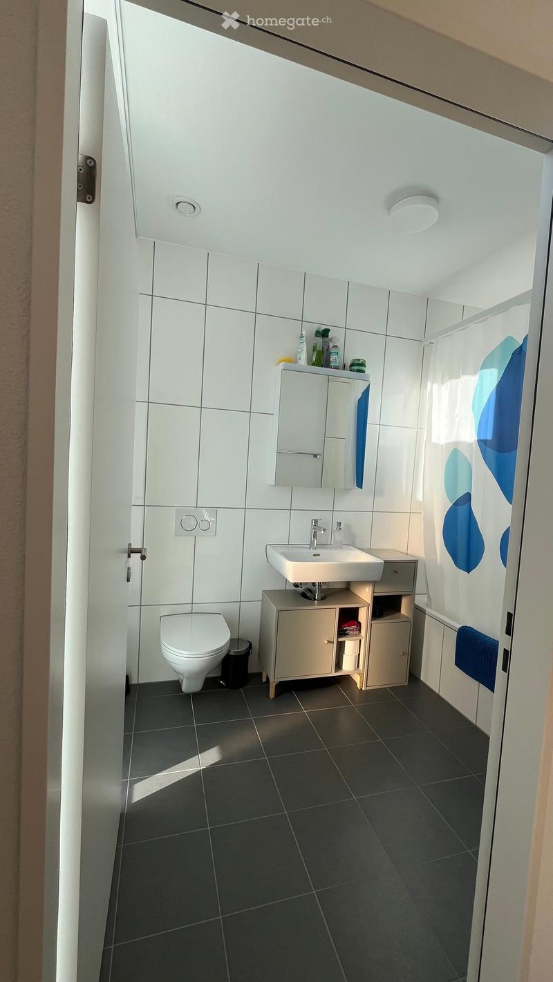 Modern bathroom with white tiles, dark grey floor tiles, a toilet, a sink with a mirror, and a shower area with a blue and white shower curtain.