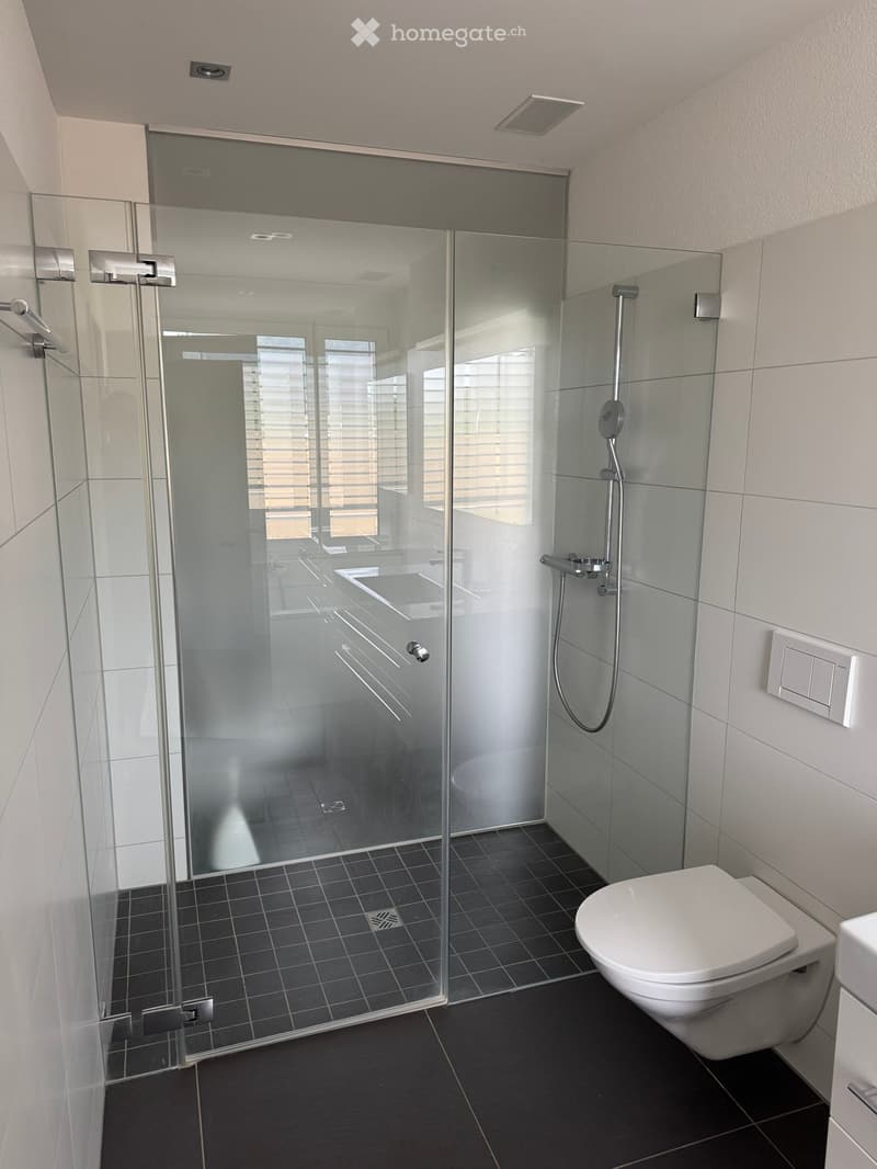 Modern bathroom with dark tiled floor, white tiled walls, glass-enclosed shower stall, and a toilet.