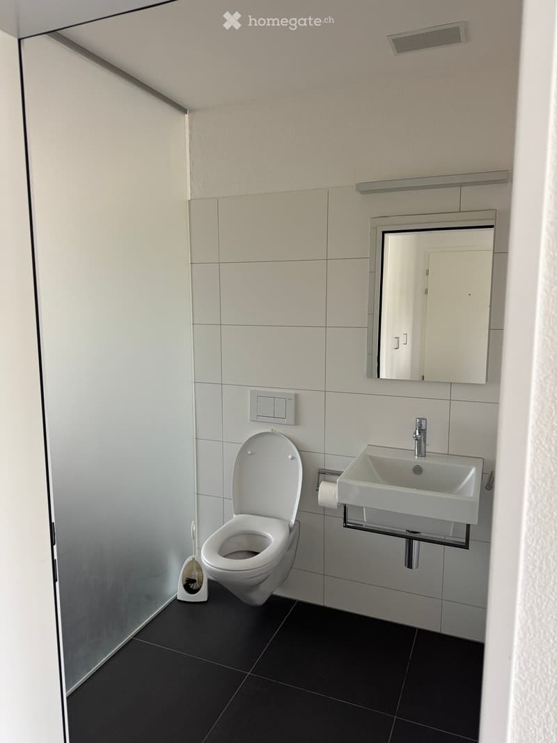 Modern bathroom with white tiles, a toilet, a sink, a mirror, and a toilet brush holder.