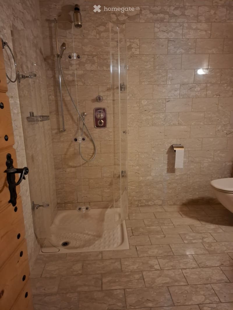 Modern bathroom with marble tiles, a glass-enclosed shower, a toilet, and a handheld showerhead.