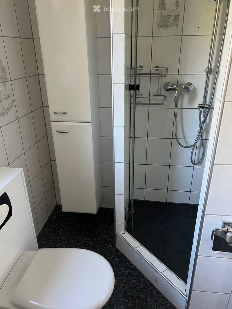 Modern bathroom with a bathtub, toilet, glass-enclosed shower, and white tiled walls.
