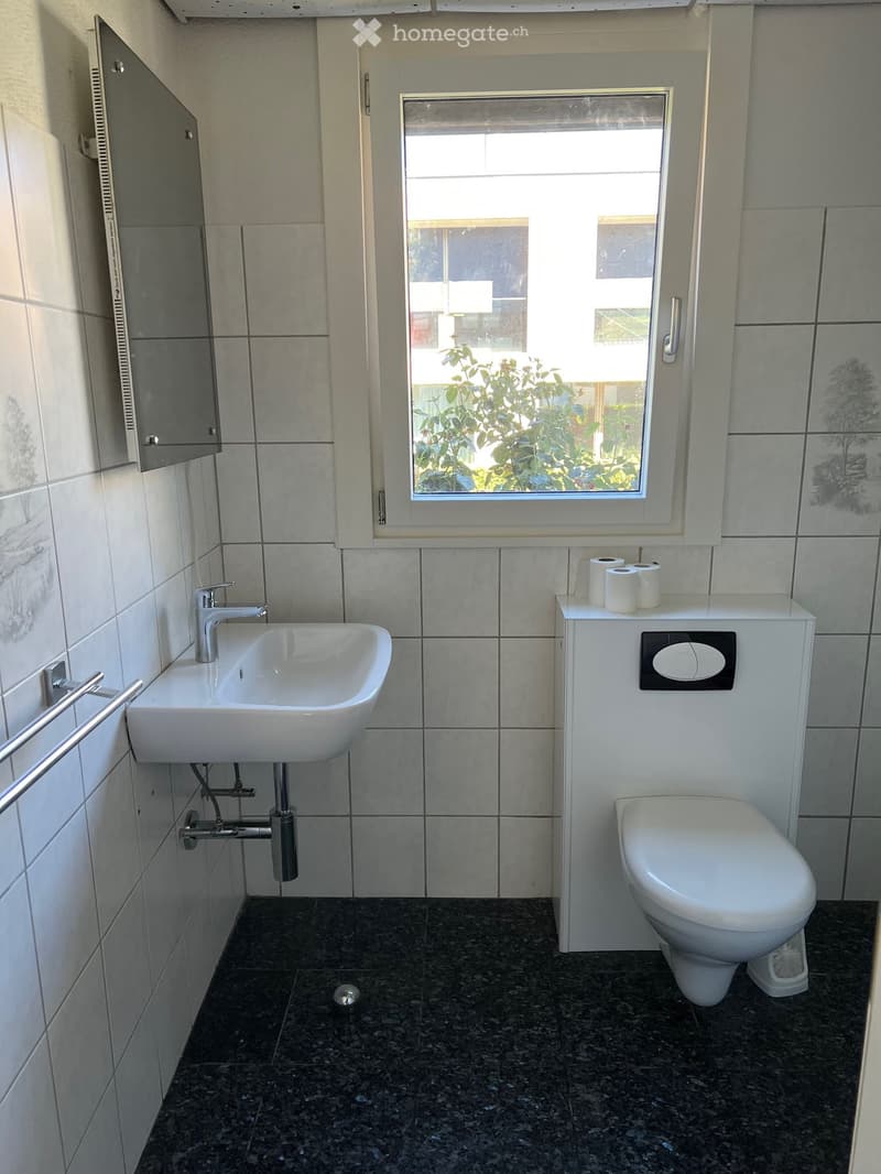 Modern bathroom with white tiled walls, dark granite flooring, a white sink with chrome faucet, a toilet, and a toilet paper holder with two rolls.