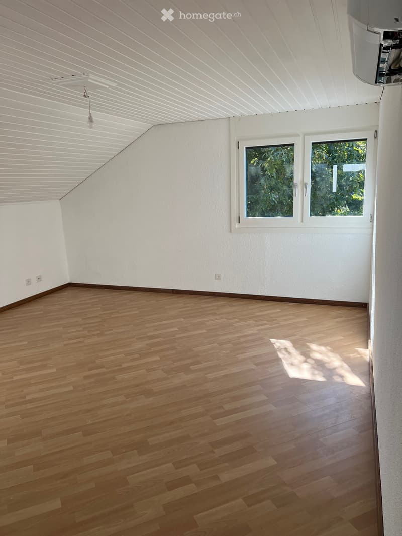 Empty room with wooden flooring, white walls, and a slanted white ceiling. Two windows with white frames are present, and there is a visible light fixture on the ceiling.
