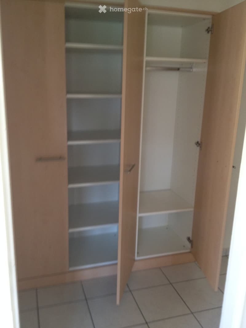 Empty closet with wooden doors and shelves, no items or furniture present.