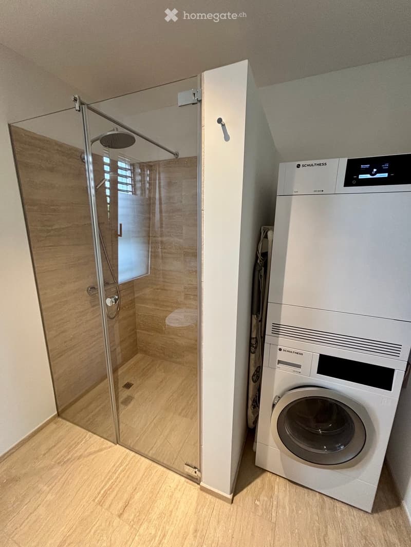 Modern bathroom with a glass-enclosed shower and a private washing machine.