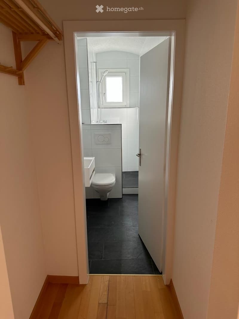 bathroom with toilet and shower area