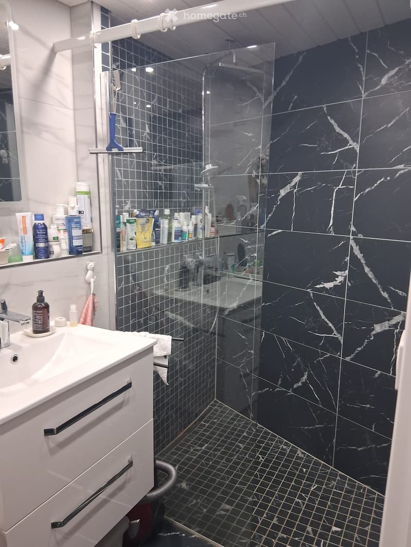 Modern bathroom with a white sink, chrome faucet, marble shower stall, and various toiletries on shelves.