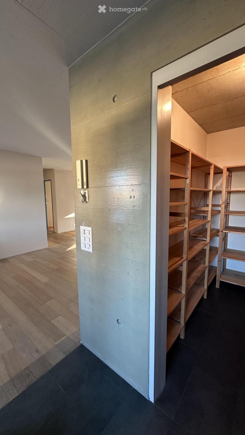 A narrow hallway with wooden flooring and white walls, featuring built-in wooden shelving units on one side and a door at the end.