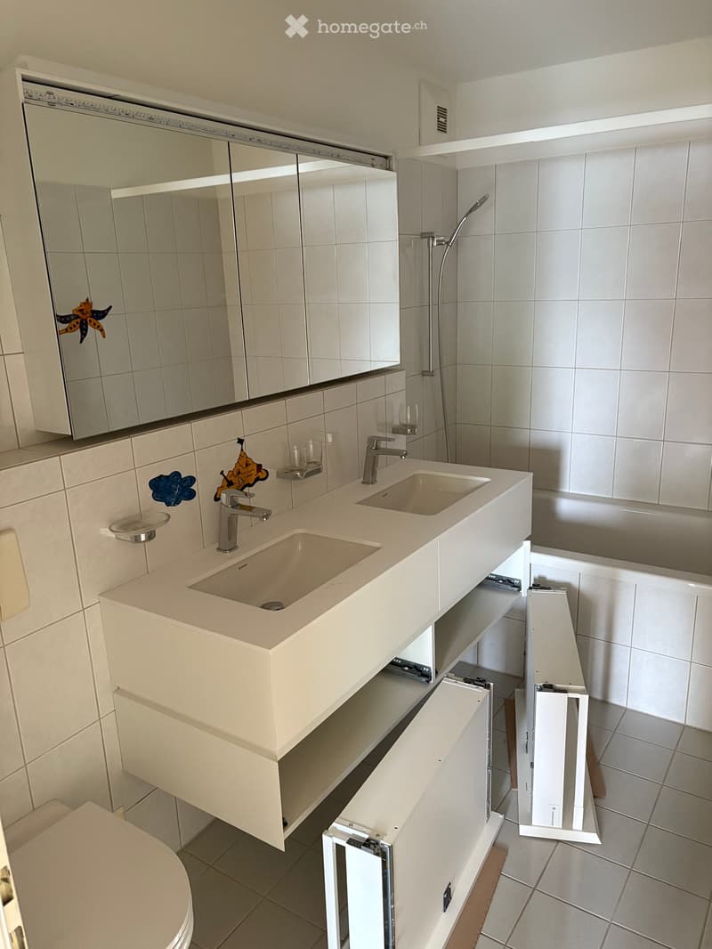 Modern bathroom with a double sink vanity, large mirror, bathtub, and showerhead. The vanity has built-in storage and sleek, contemporary design.