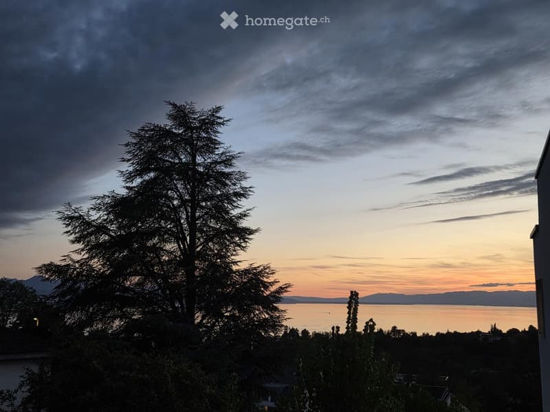 Balcony view overlooking a body of water with a tree in the foreground and distant mountains under a cloudy sky.
