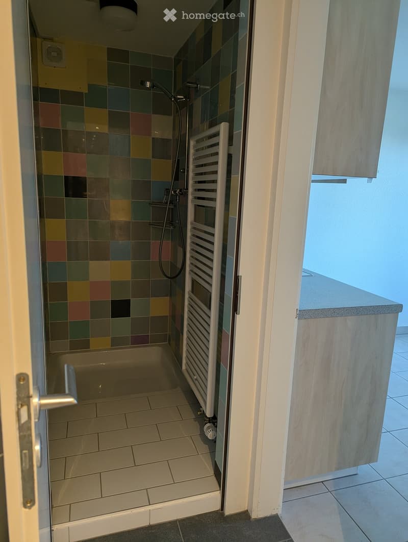 Bathroom with a bathtub, shower area with colorful tiles, radiator, and a wooden cabinet.