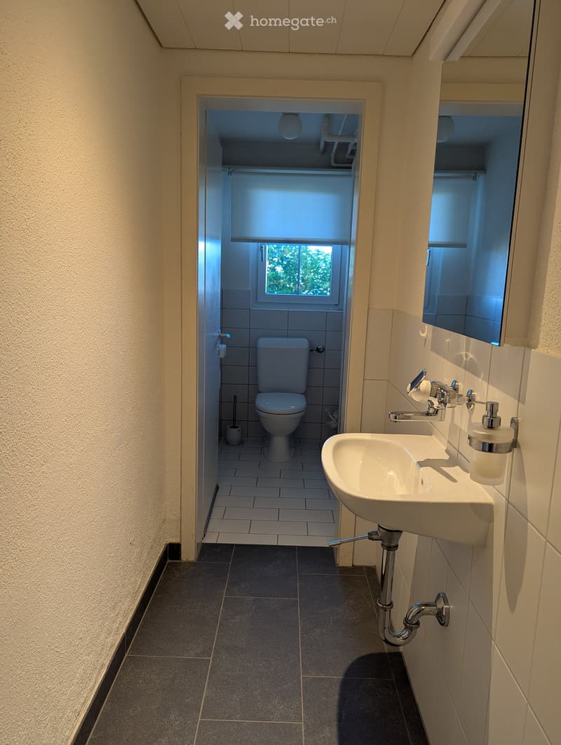 Modern bathroom with a white sink, chrome faucet, toilet, and a mirror. The floor is tiled, and the walls are light-colored.