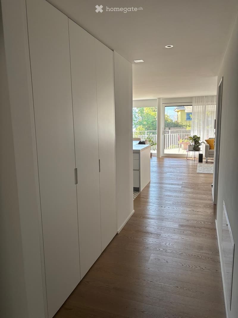 Modern hallway with light wooden flooring, white walls, built-in storage units, recessed lighting, and an open view to a living area with a sofa and balcony access.