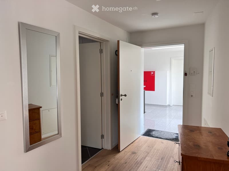 Empty hallway with wooden flooring, white walls, and several doors leading to other rooms. A large mirror is mounted on the left wall, and a small wooden cabinet is visible near the mirror.