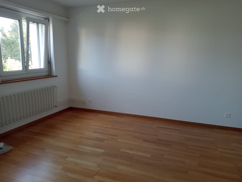 Empty room with wooden flooring, white walls, and a radiator under a window with a small shelf above it.