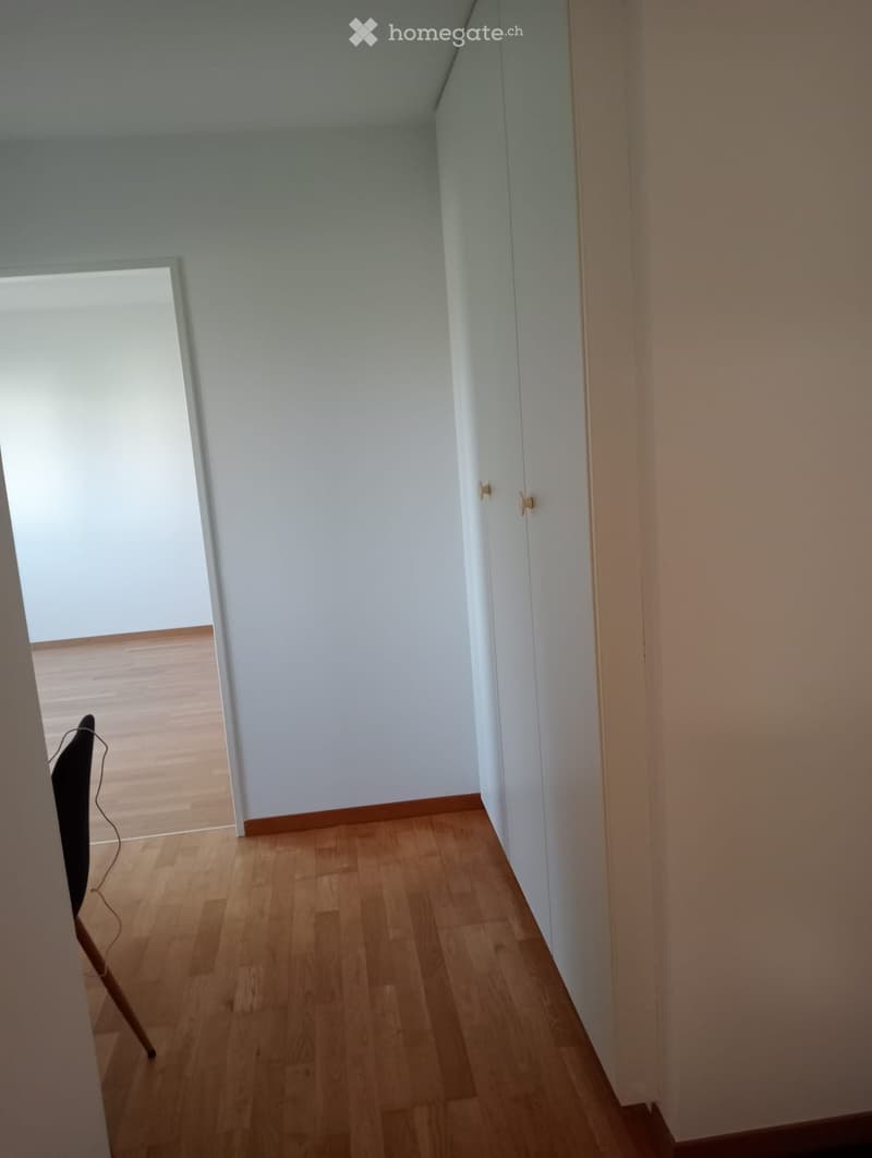 Empty hallway with light wooden flooring, white walls, and a small window at the end.