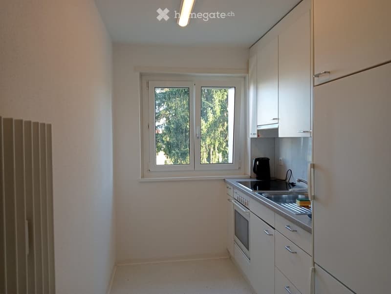 Modern kitchen with white cabinets, stainless steel sink, oven, and electric kettle. Features a window with a view of greenery.