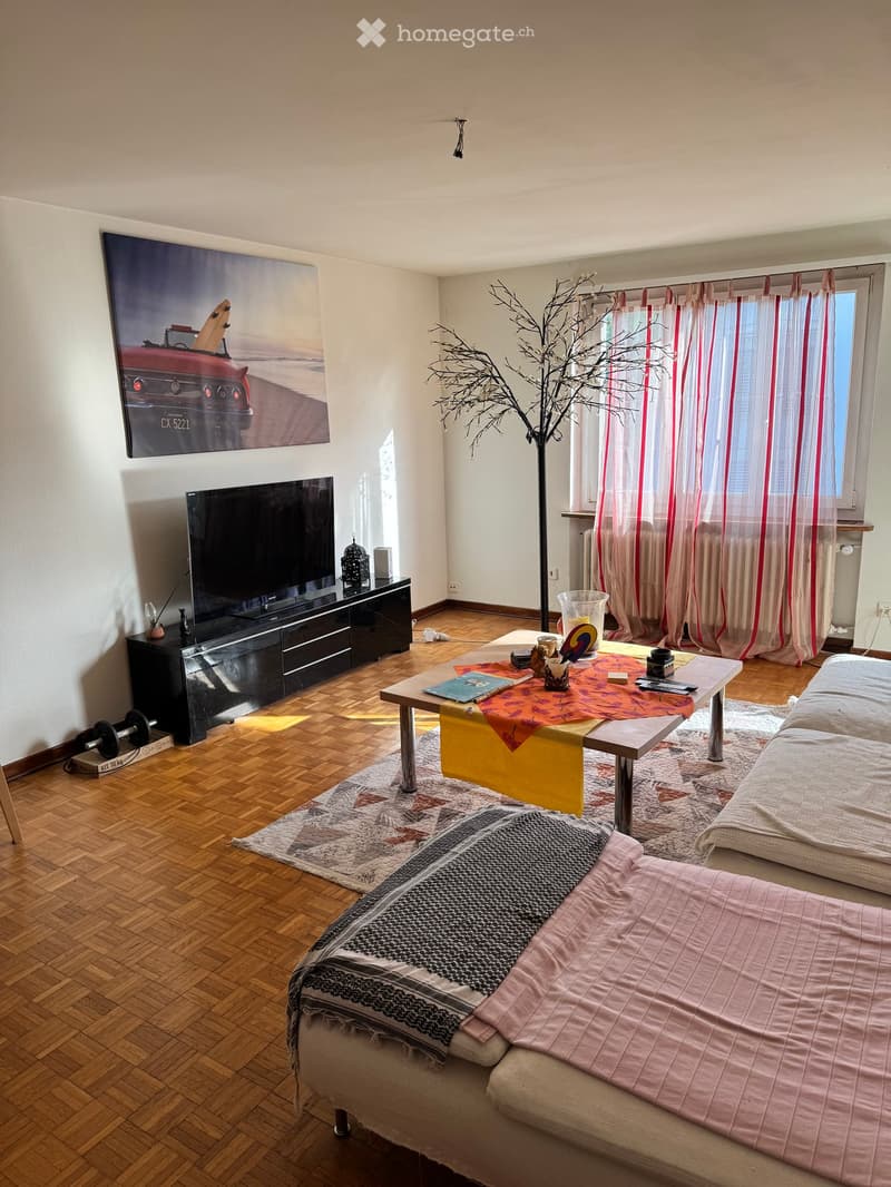 Modern living room with wooden flooring, a sofa, coffee table, television, and decorative items.