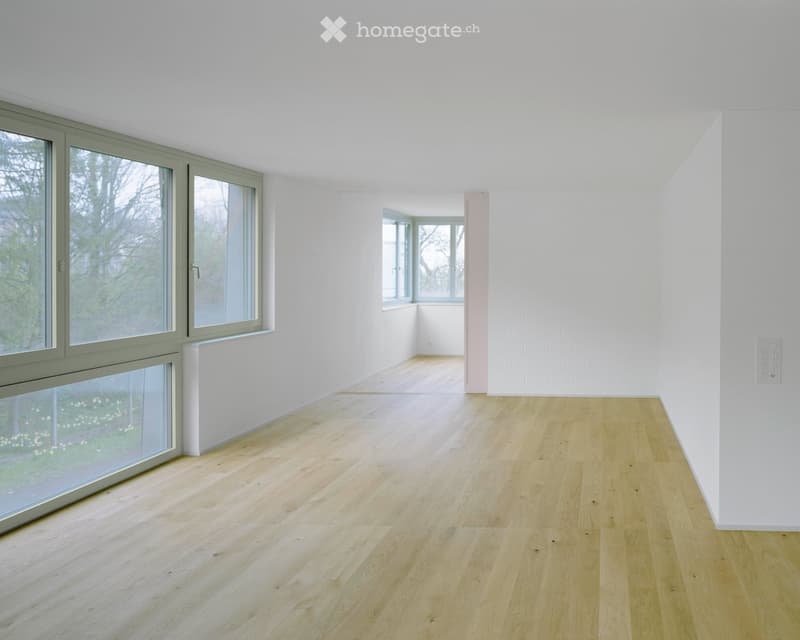 Empty room with light wooden flooring and white walls, featuring large windows with grey frames and a visible electrical outlet on the wall.