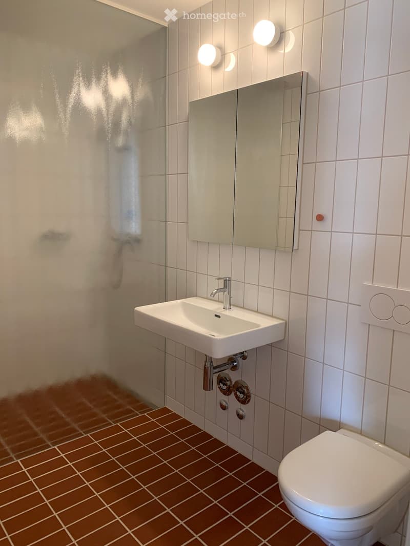 Modern bathroom with white tiles, a white sink, a chrome faucet, a large mirror, and a toilet. The floor has brown tiles, and there is a glass shower enclosure on the left.