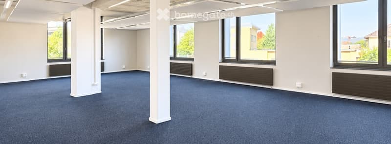 Empty room with blue carpet, white walls, large windows, and radiators.