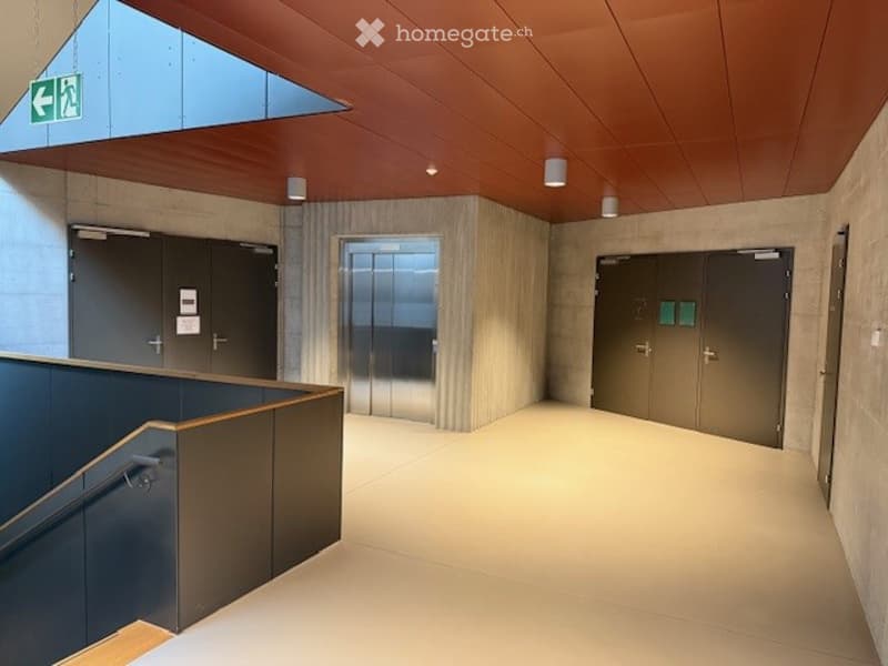 Empty hallway with gray floors and walls, a staircase, two elevators, two sets of doors, and ceiling lamps.