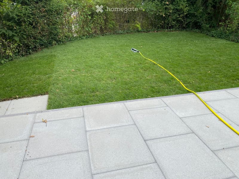 A well-maintained garden with a neatly trimmed lawn, surrounded by a concrete patio area. A yellow garden hose is visible on the right side.