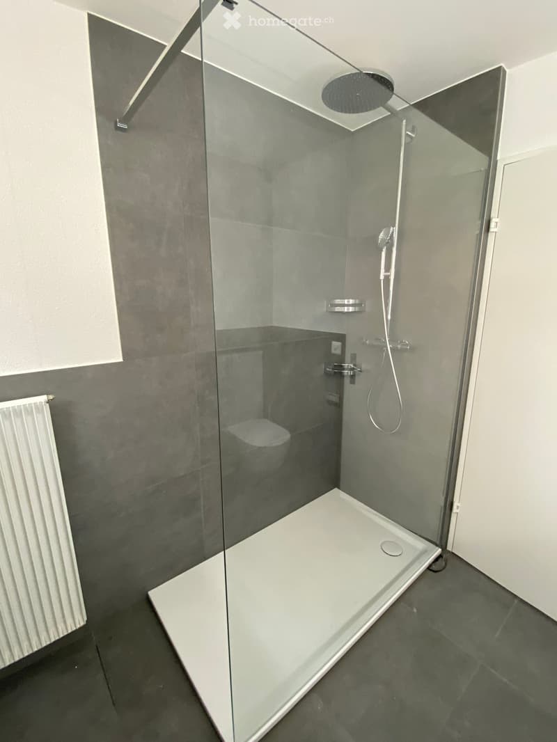 Modern bathroom with a glass-enclosed shower stall, a showerhead, a faucet, and a radiator on the wall.