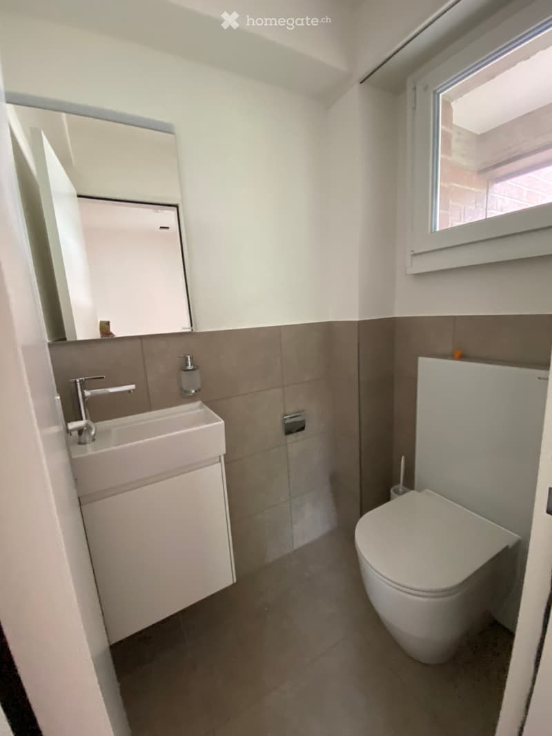 Modern bathroom with a white sink, chrome faucet, toilet, and built-in cabinet. The walls are tiled in a two-tone design with brown lower tiles and white upper tiles.