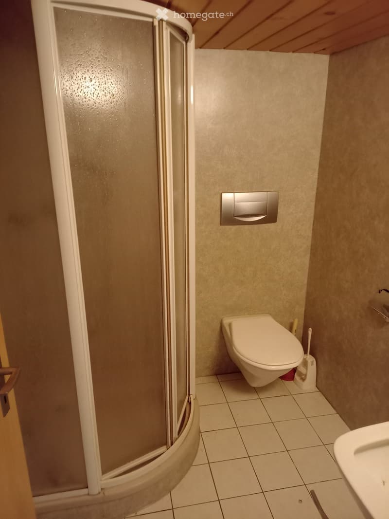 Modern bathroom with a white toilet, a glass-enclosed shower, a sink, and a toilet brush holder.
