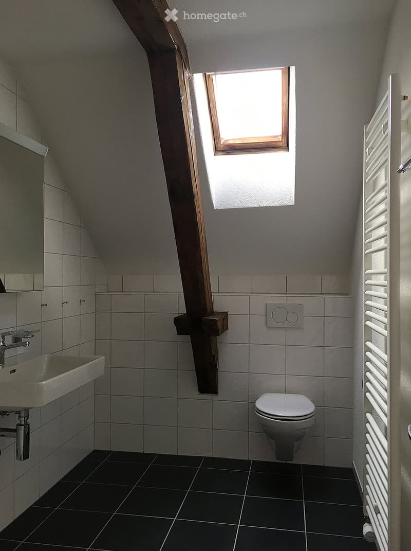 Modern bathroom with a slanted ceiling, tiled walls, black floor tiles, a white sink, a toilet, and a radiator on the right side.