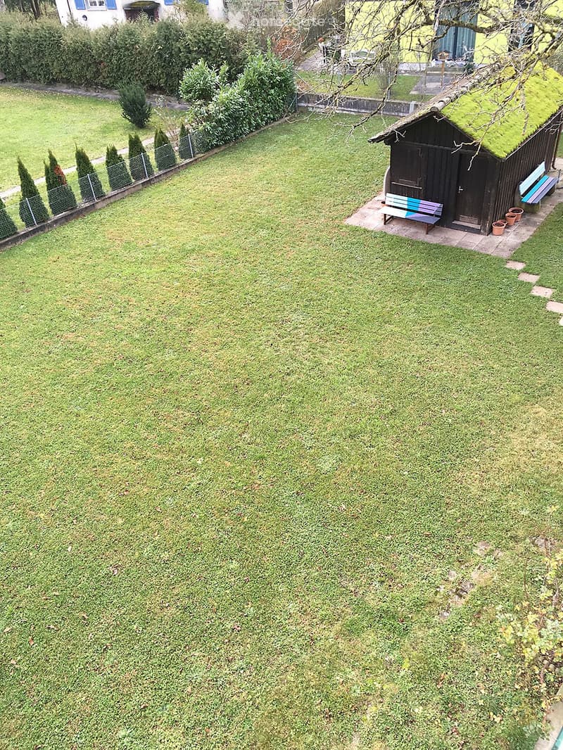 A well-maintained garden with a grassy lawn, neatly trimmed hedges, a small wooden shed with a green roof, and a bench near the shed.