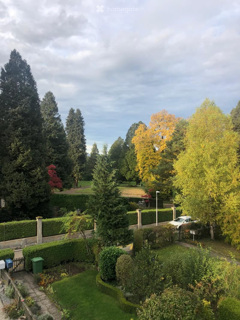 Well-maintained garden with neatly trimmed hedges, a variety of trees, a small lawn, and a white car parked on the driveway.