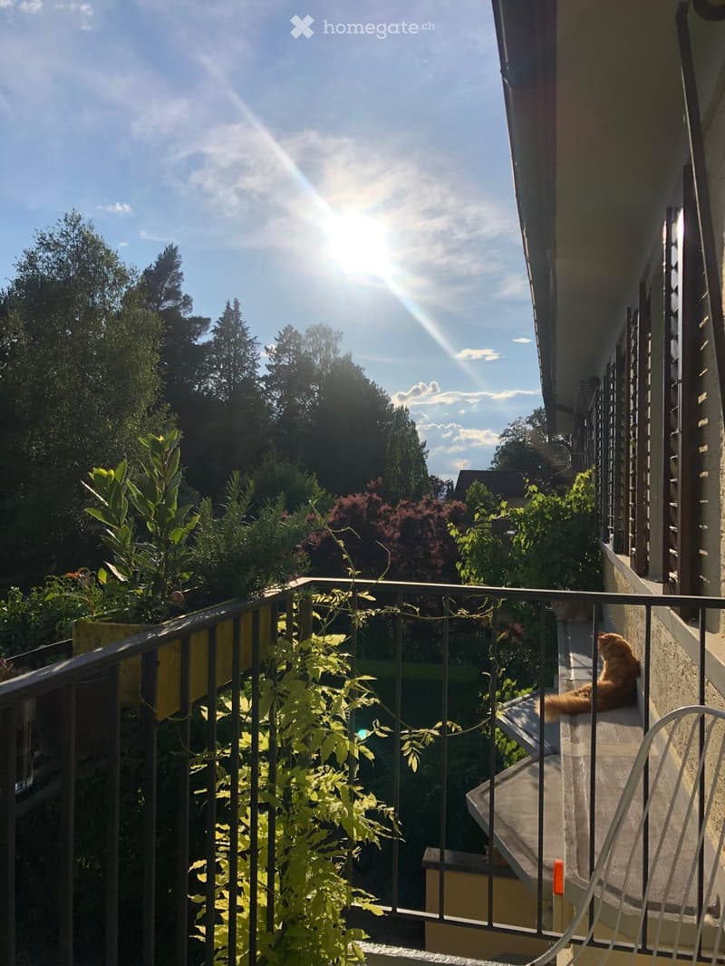 Balcony with metal railing, potted plants, and a cat sitting on the edge, overlooking a green, tree-filled area with a clear blue sky.